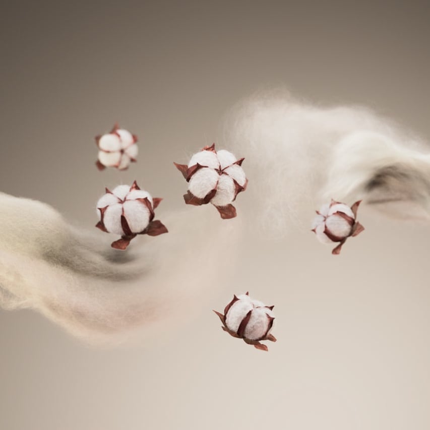 Thumbnail de la vidéo