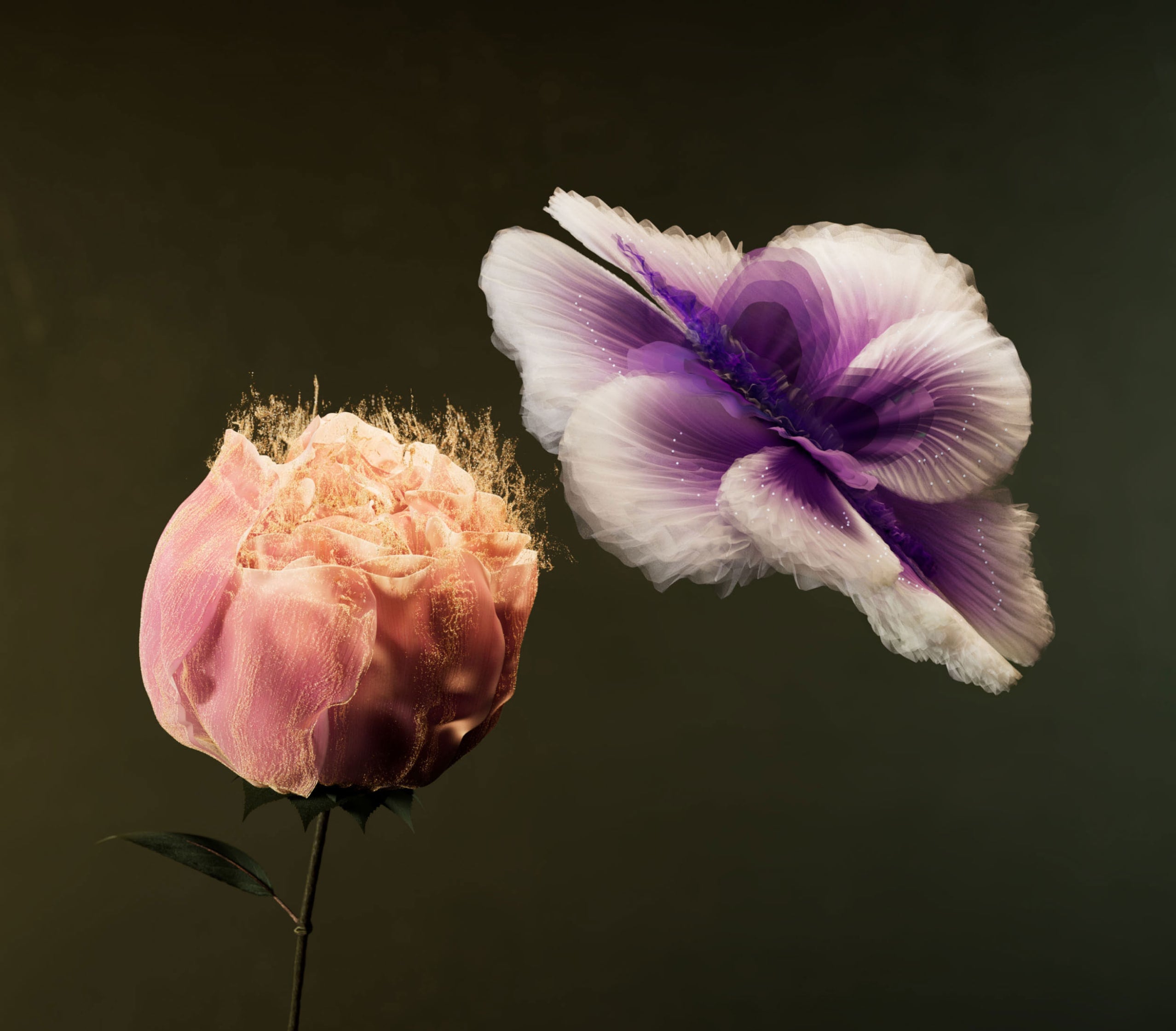 Thumbnail de la vidéo