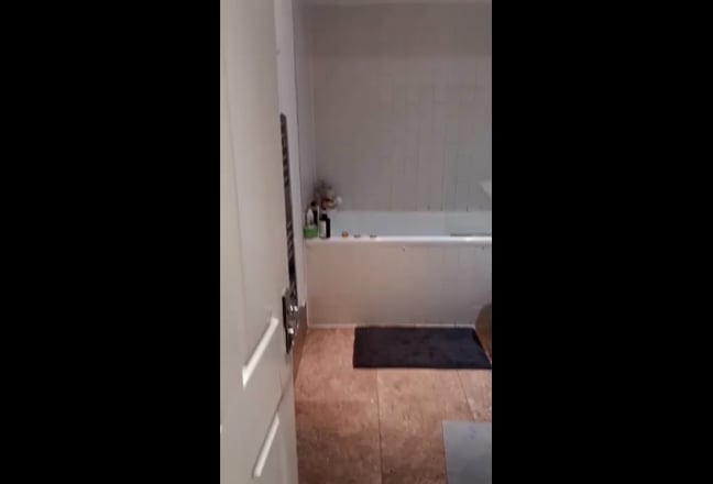 ☀️Spacious Ensuit☀️Limehouse! Female Flat Bills In Main Photo