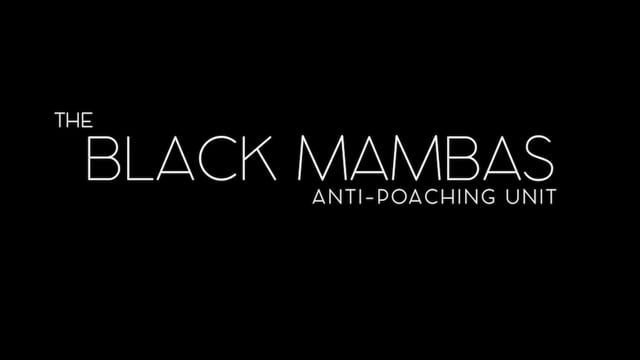 The Black Mambas Against Poachers In South Africa