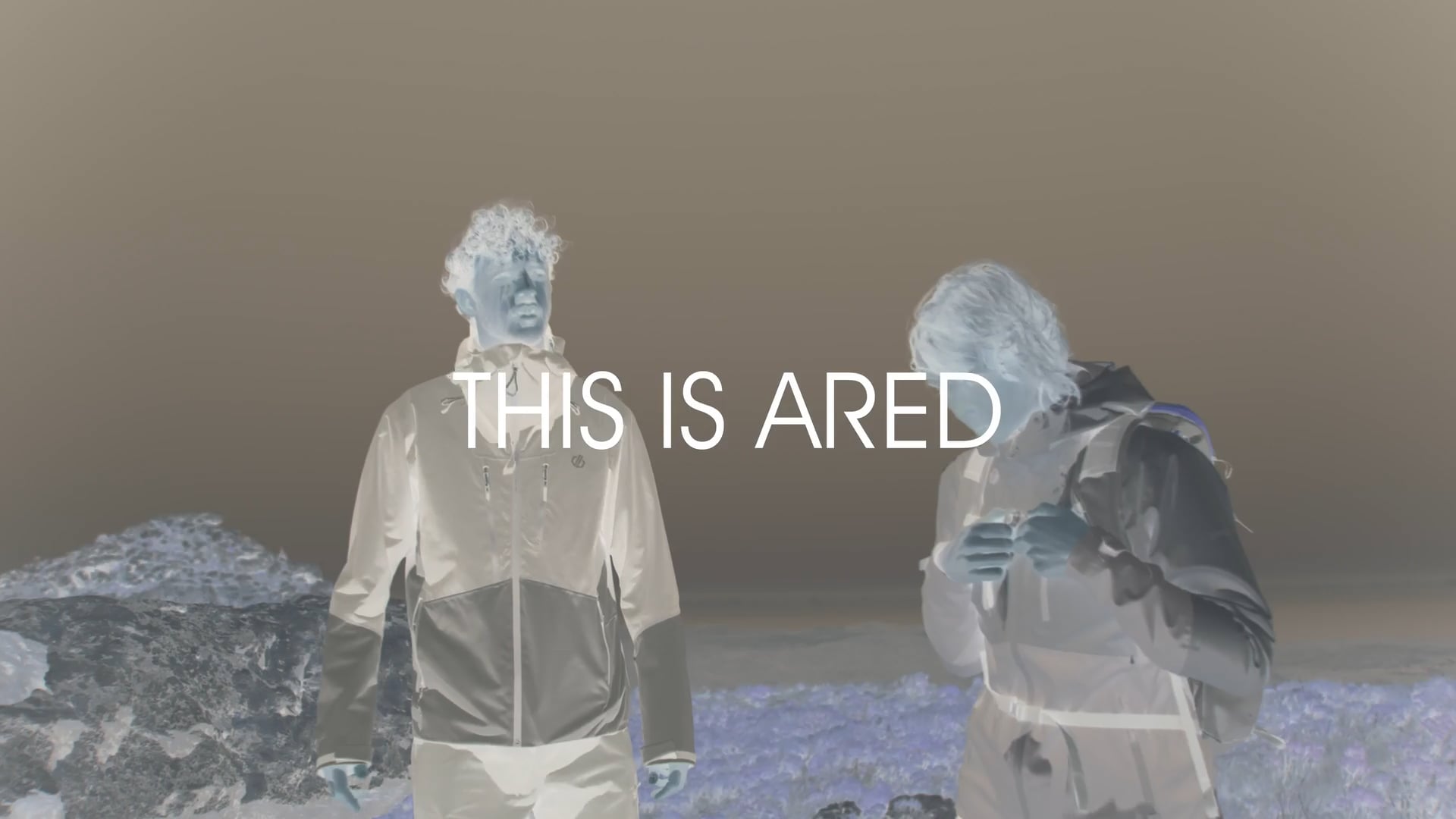 DARE2BE Ared