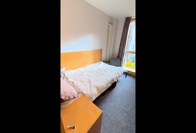 Ensuite - Uni of Edinburgh students only Main Photo