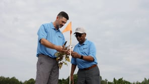 Related Embedded Video Item Thumbnail