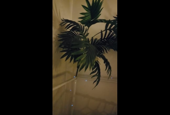 Double Room Available – Friendly Flatmate wanted  Main Photo