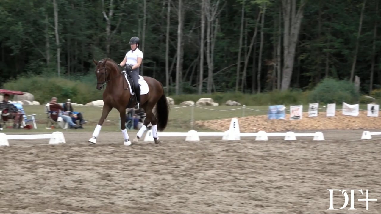 Third Level, Day 2 - Trot Half Pass | Laura Graves
