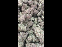 Tropicanna Cherry Mixed Light