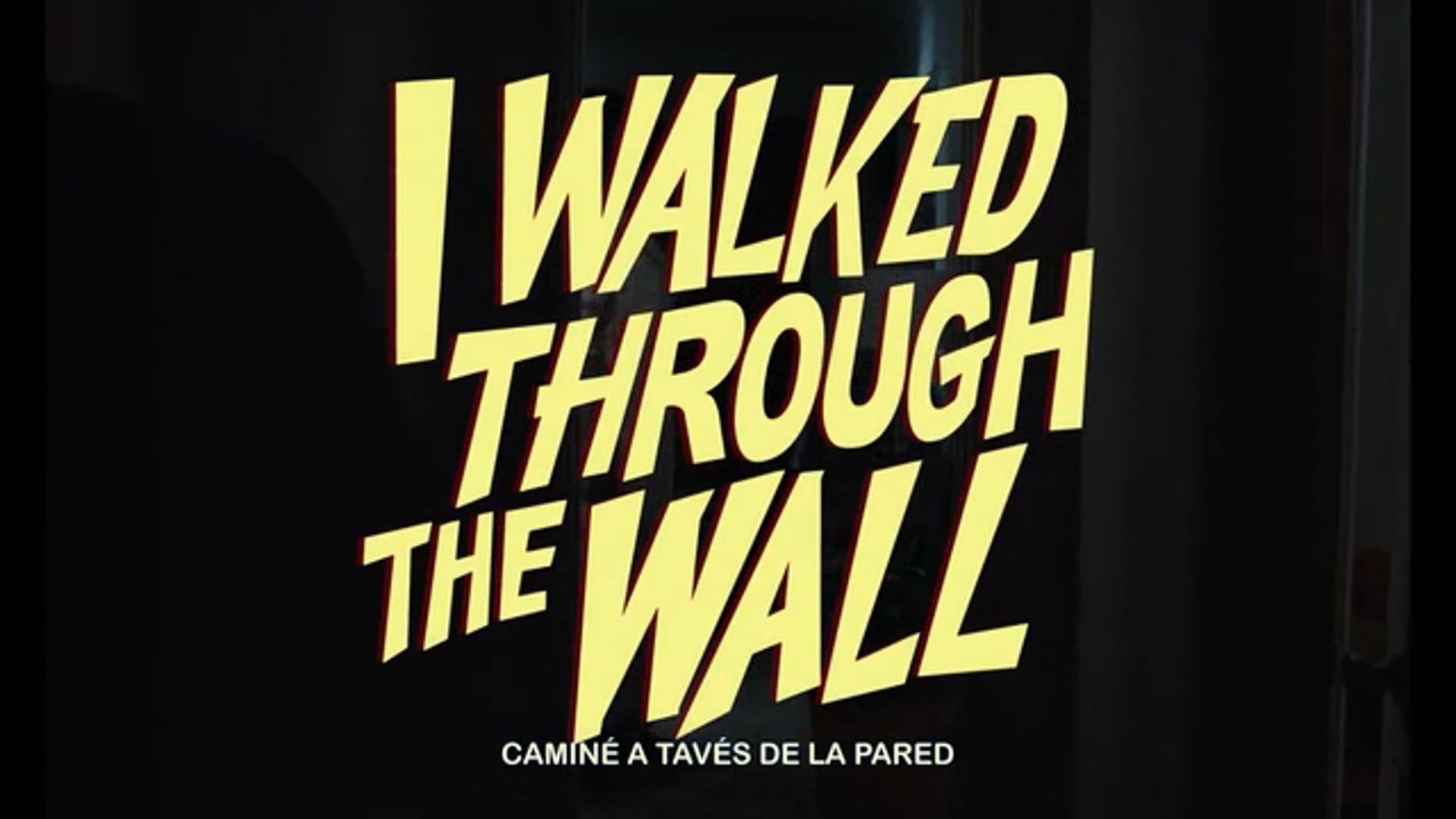 I Walked Through The Wall