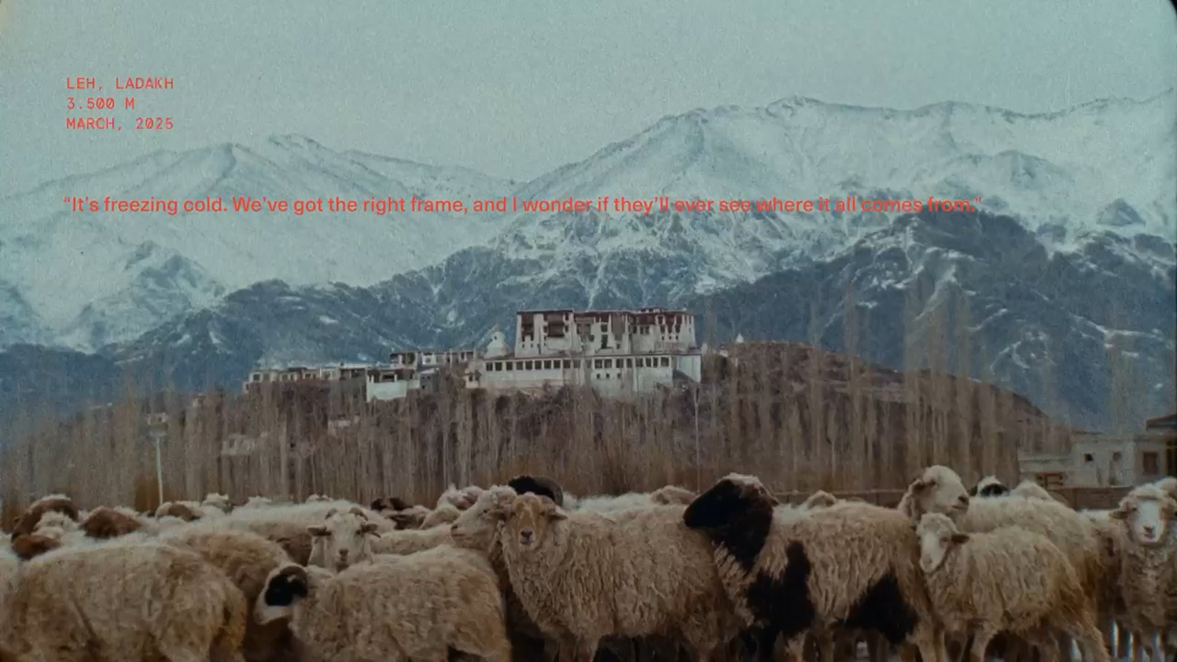 THE SOURCE | Videos & Movies on Vimeo