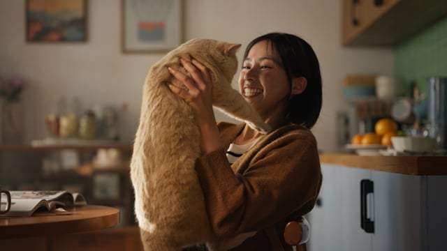 Oppo - Kitten Plan