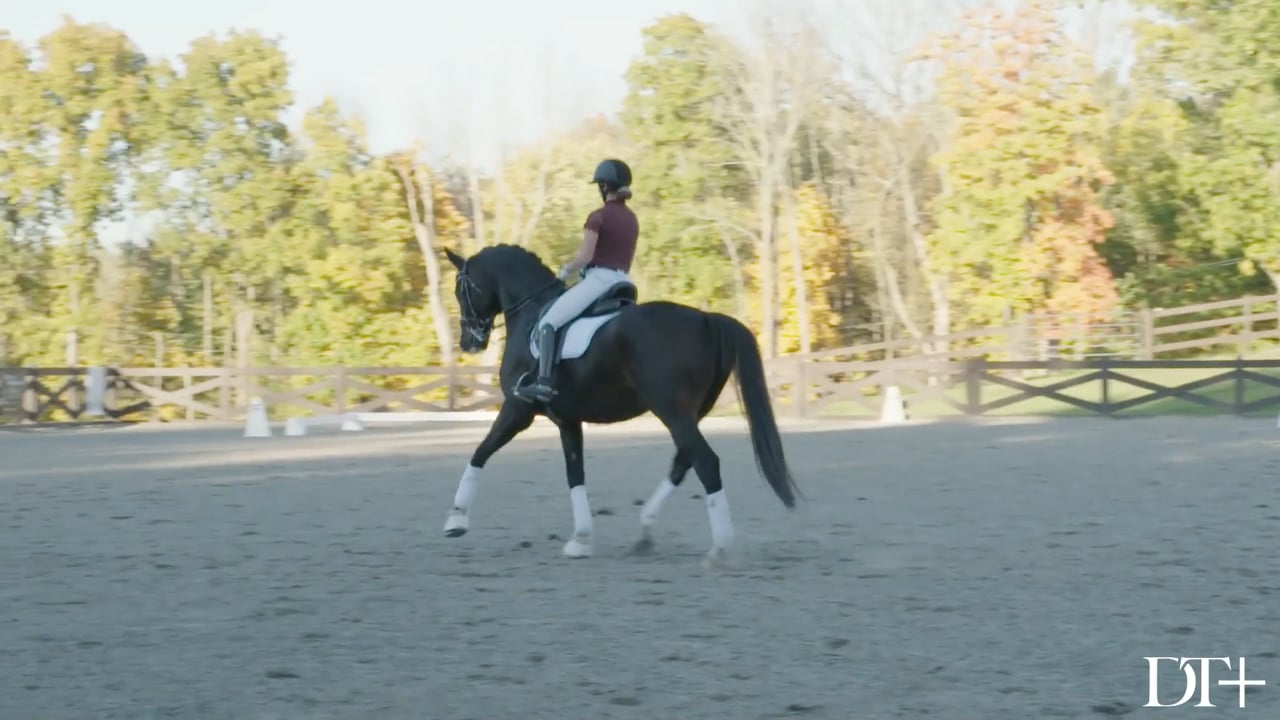 Steffen Peters – Schooling a Prix St. Georges Horse – Day 2 Part 3