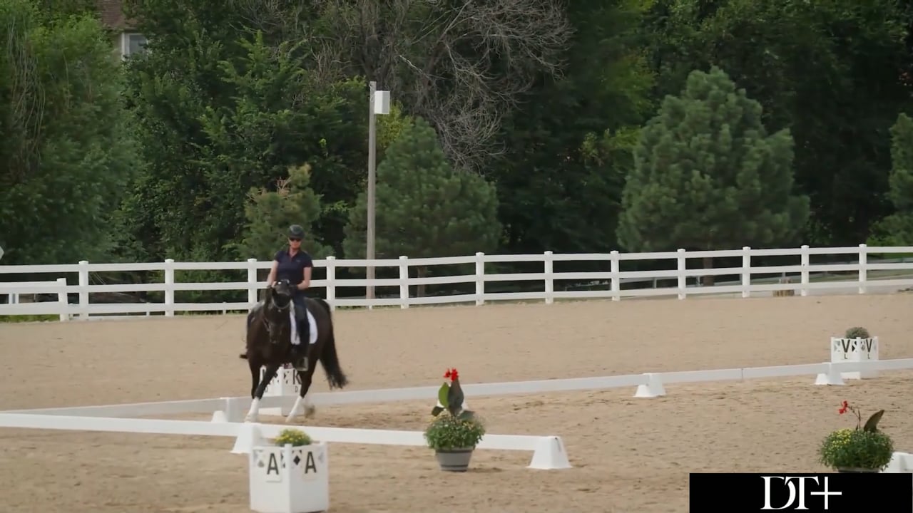 Intermediate | Steffen Peters | Colorado Clinic Day 1