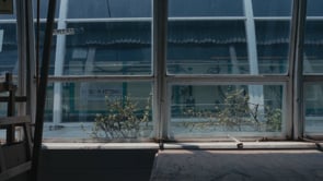 CLAUDIO LIMÓN - SURO