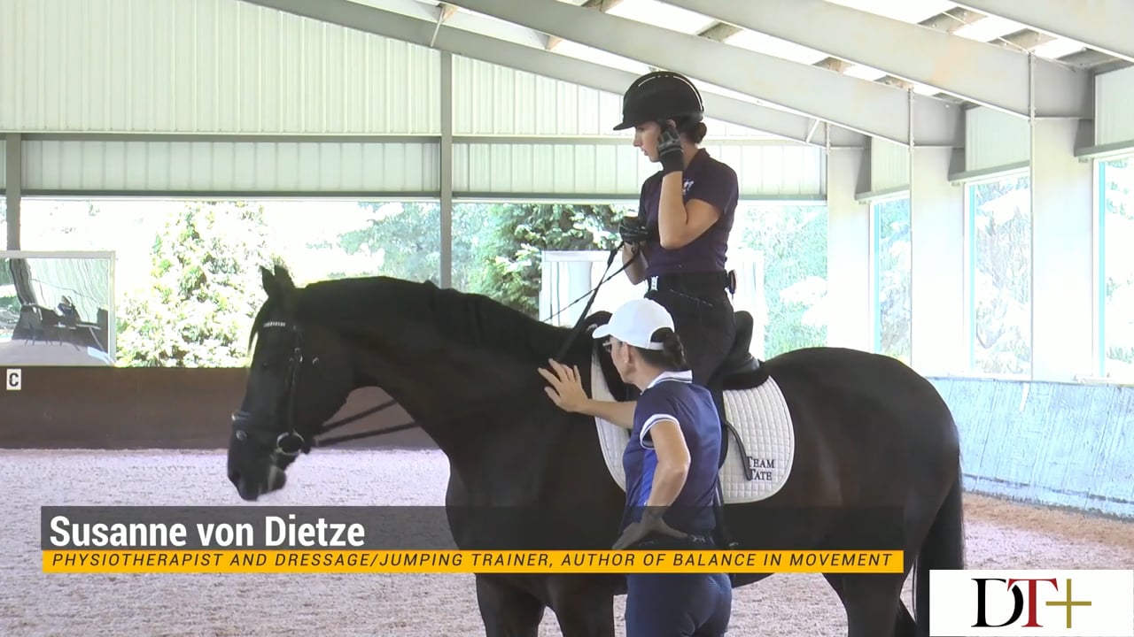 The Rider's Seat, Ride 6 | Susanne von Dietze