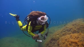 0490_female diver with open hair and vintage white mask swimming along reef