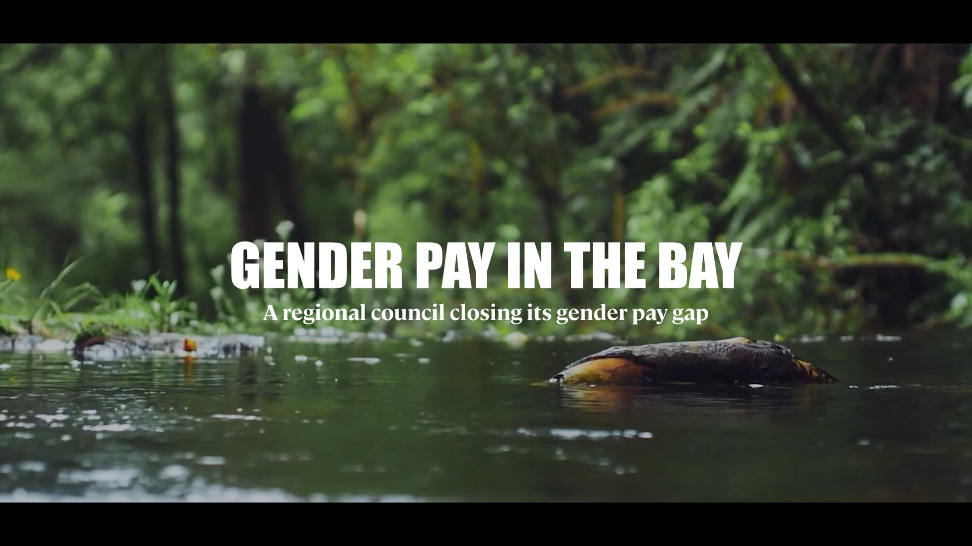 Ministry for Women - Gender Pay in the Bay (NZ) - Hero Video