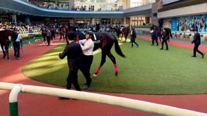 動画サムネイル