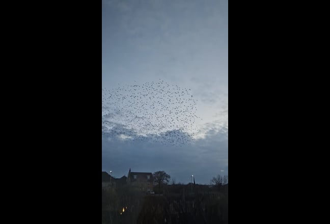 Single Bedroom Main Photo