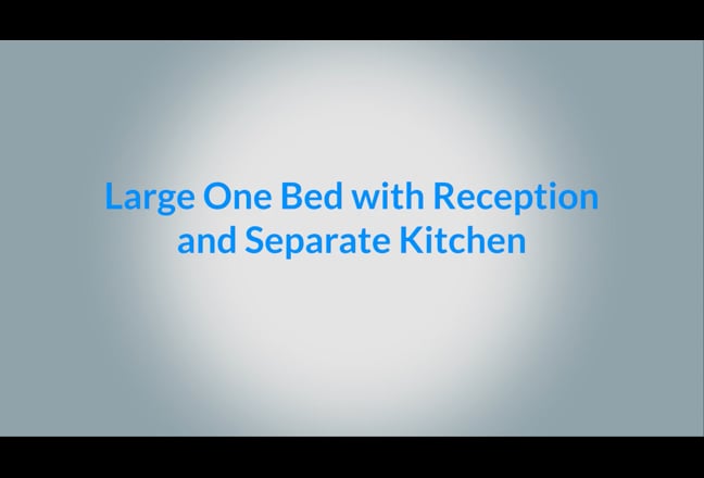 Large One-Bedroom Flat with Spacious Living Room  Main Photo