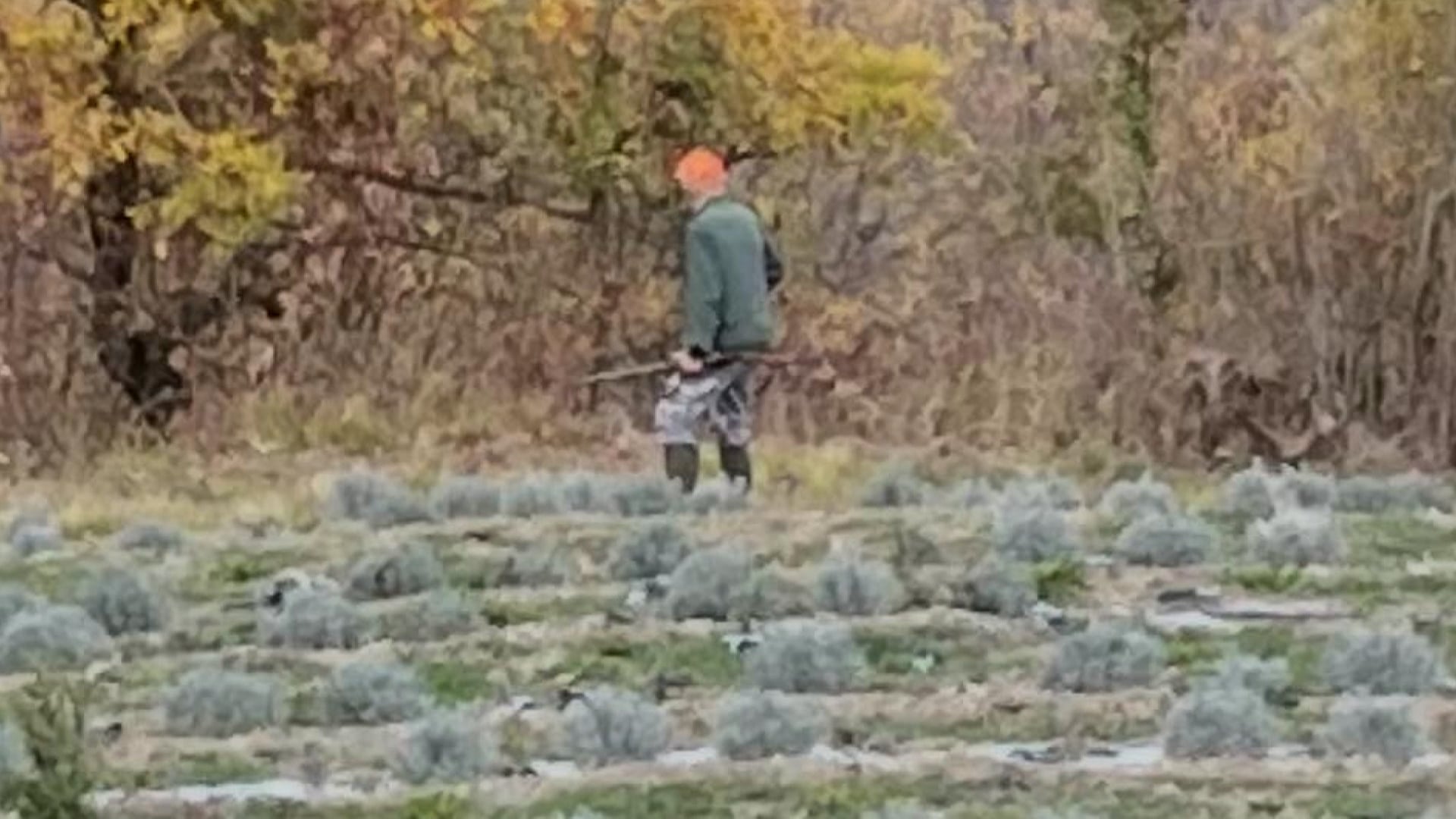 Cacciatori a ridosso delle case, la paura di una bolognese