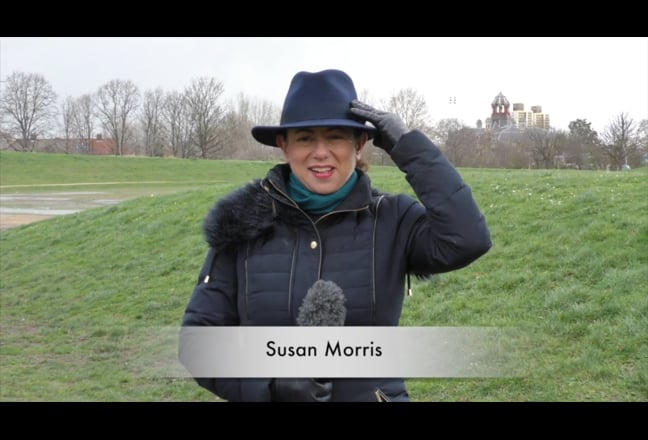 Professional seeks 4–6 mth rm North Or West London Main Photo