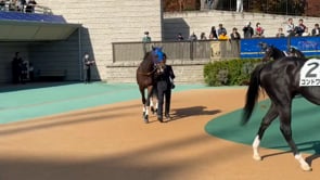 動画サムネイル