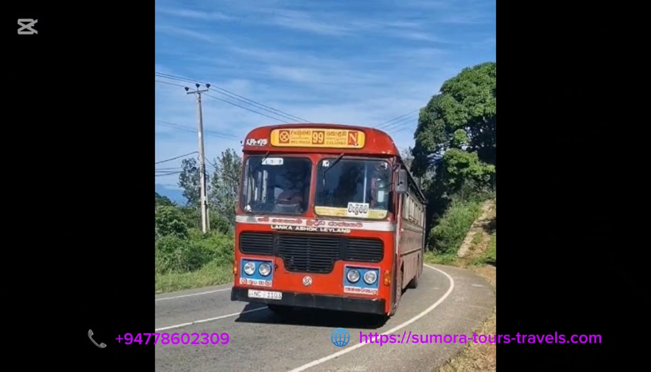 lv_0_20251115233358.mp4