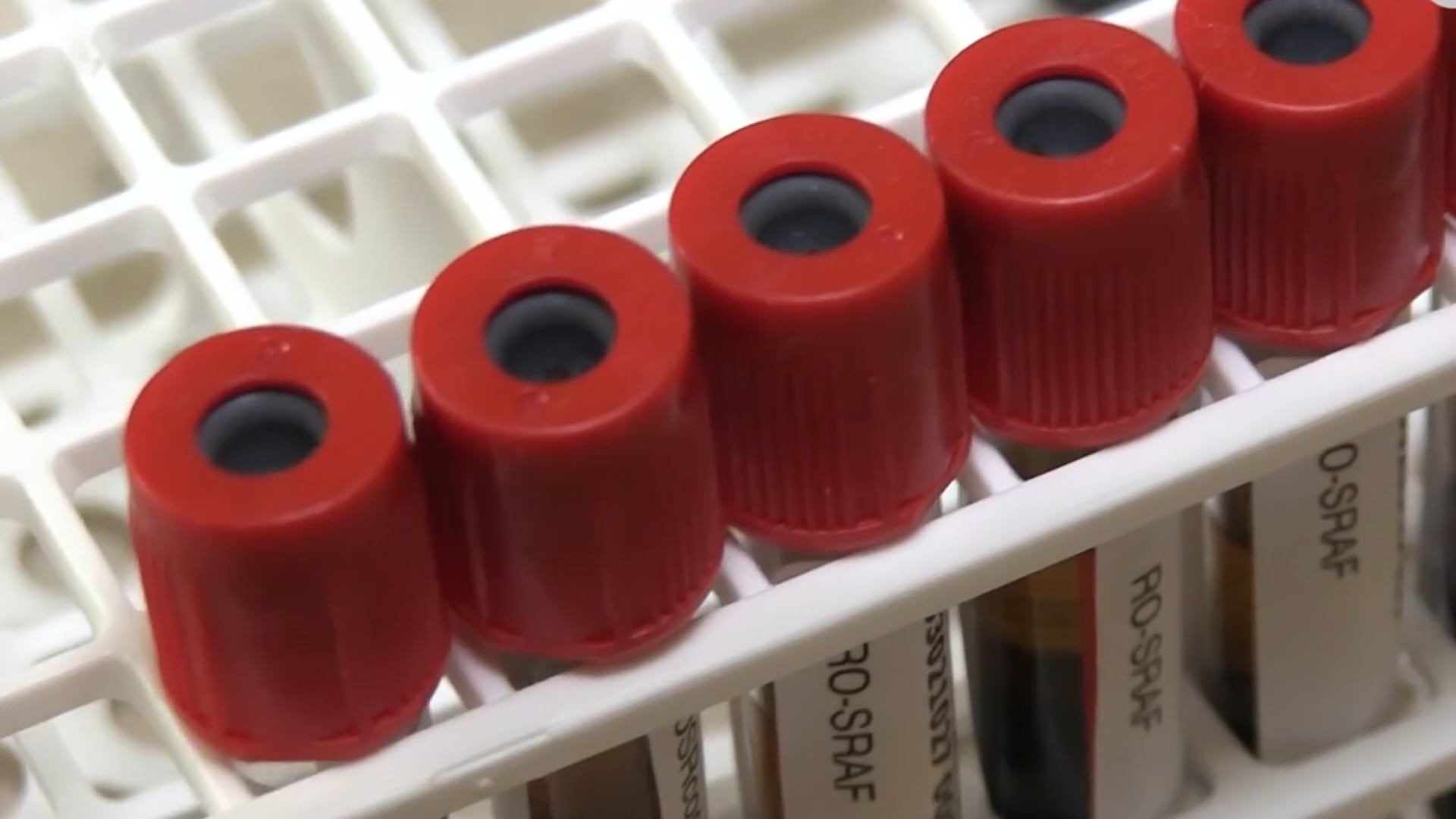 E’ boom a Bologna delle vaccinazioni contro l’influenza