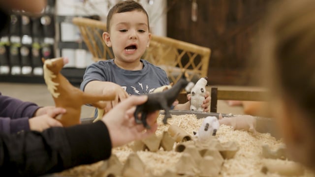 The Green Elephant Early Learning Centre - Waterloo video thumbnail 9