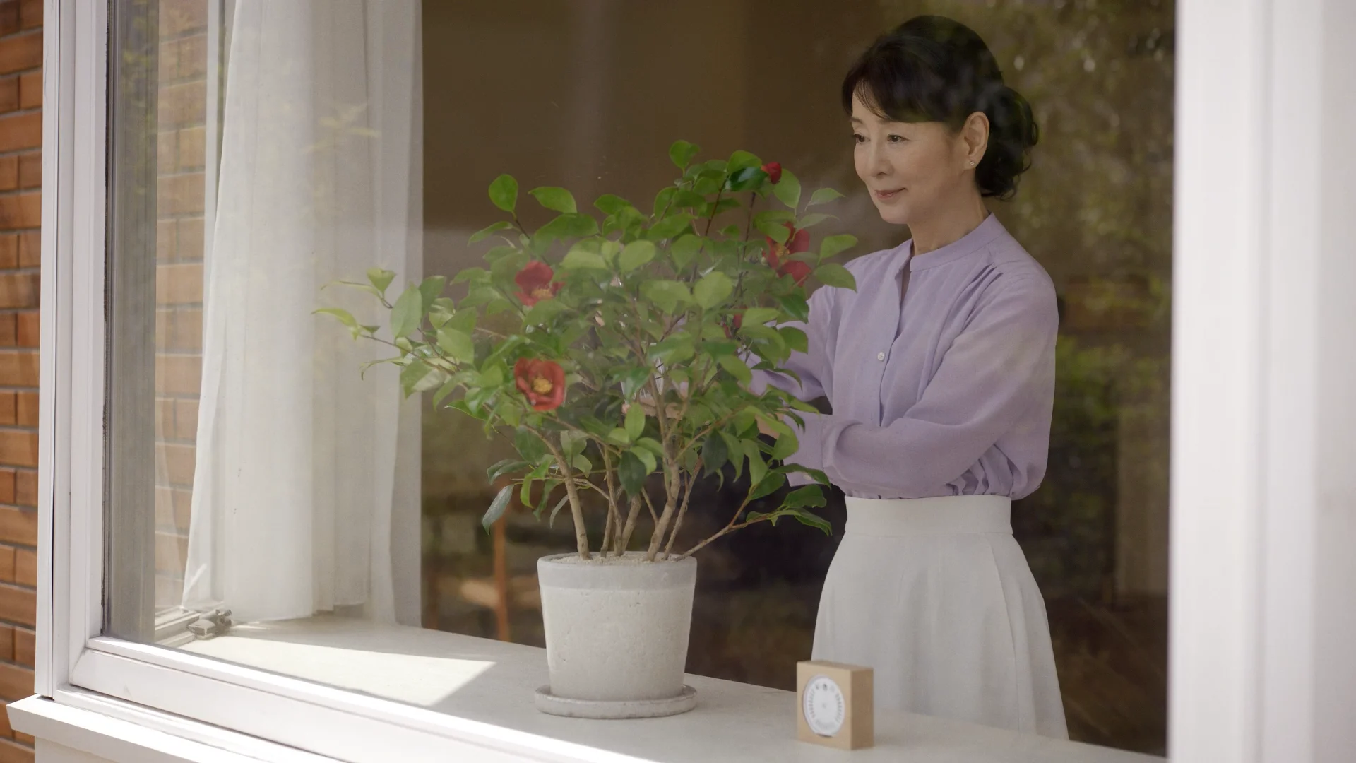 椿サポーター吉永小百合さん | 五島の椿オンラインショップ