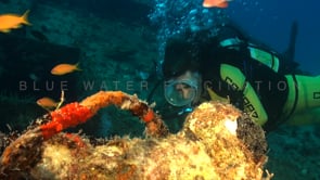 0576_female scuba diver close up ship wreck