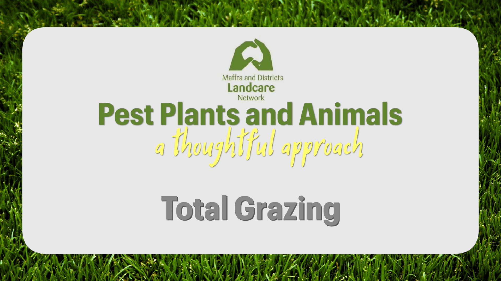 MDLN_DAVID_TOTAL_GRAZING