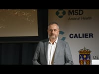 El sector gallego: situación actual y transformaciones recientes
