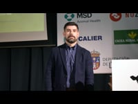 Cómo optimizar la alimentación en sistemas de ordeño robotizado. Claves y consejos para una gestión eficiente