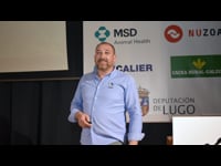 ¿Revisión o lotes?