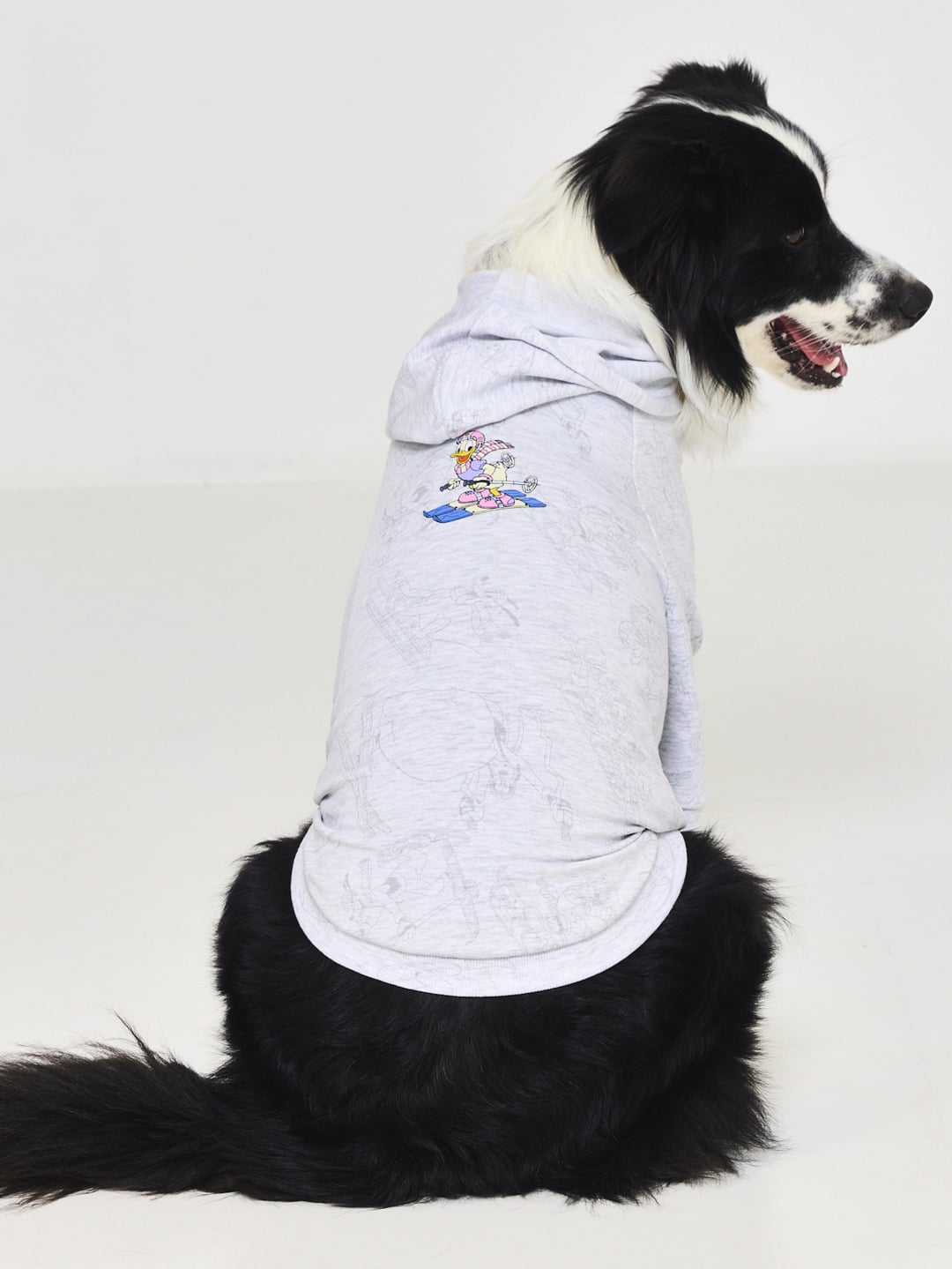 טופ עם קפוצ’ון לכלבה עם כיתוב אישי DAISY