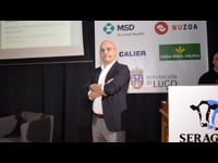 Salud podal: el cambio de paradigma en la prevención