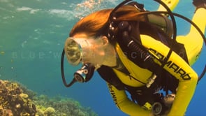 1127_female scuba diver swimming over coral reef