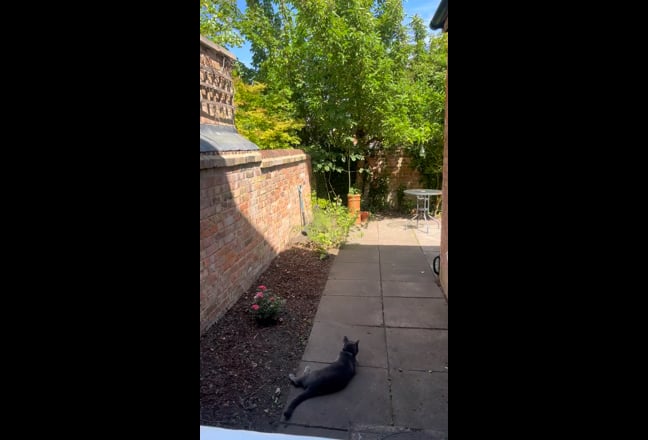 Cozy Victorian Double Room with Garden View Main Photo