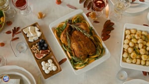 Lizz and Jake's Recent Thanksgiving Escapades