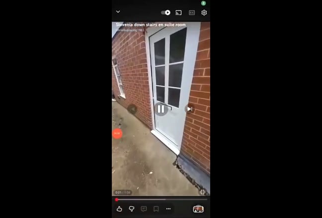 TQ town centre flat share 100m from the harbor Main Photo