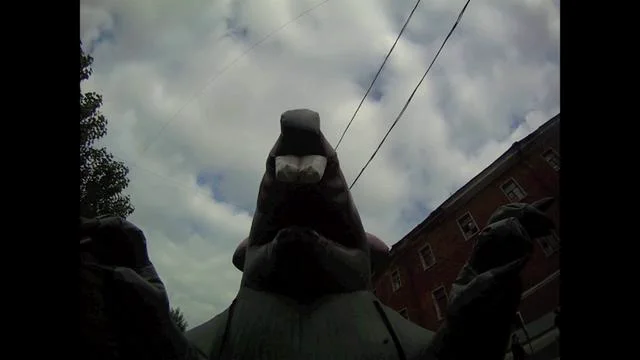 GONZOMOVIES: SPB'11 on Vimeo