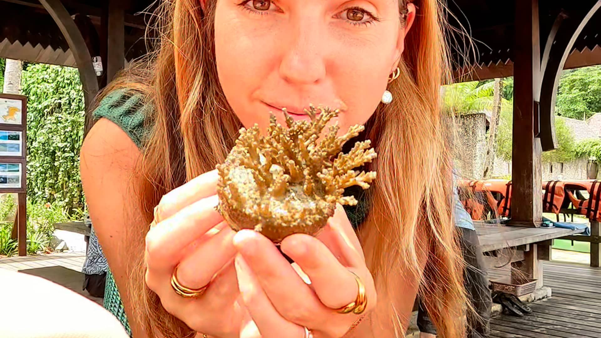 Coral Planting in Borneo