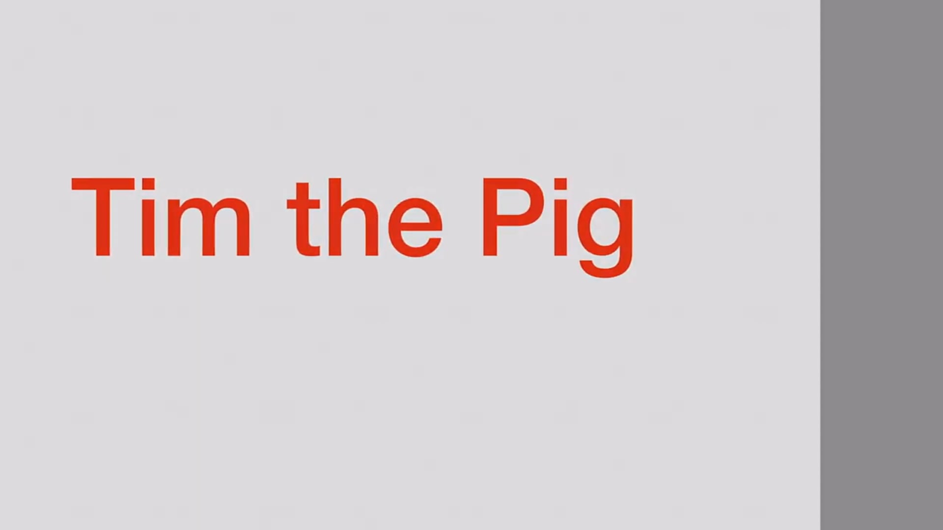Tim-The-Pig!