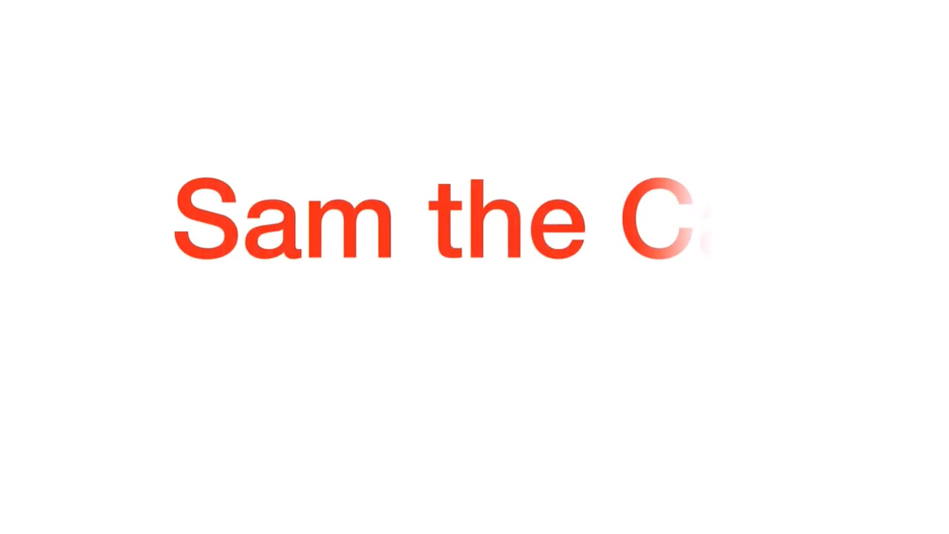 Sam-The-Cat!