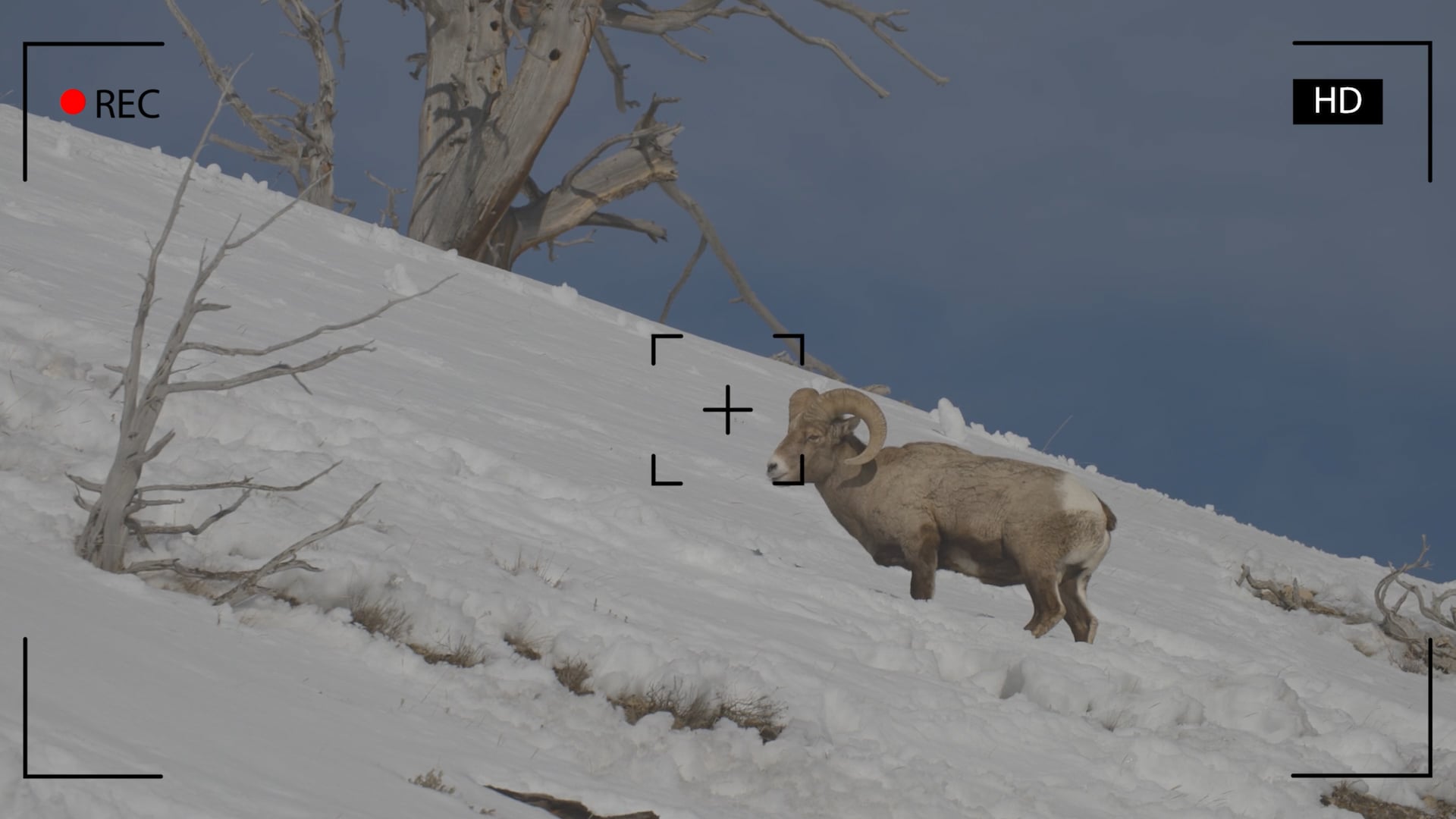 Environmentally Unconscious