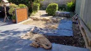 Video: Before work commenced