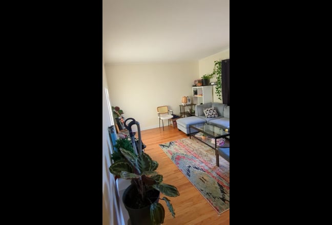 Looking for a Leftist Roommate <3  Main Photo