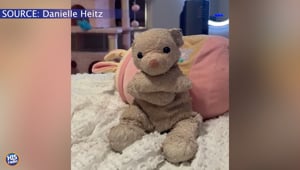 Do You Still Have Your Stuffed Animal?