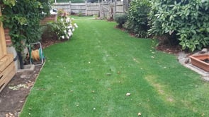 Video: Completed Garden Project