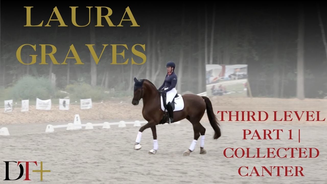 Third Level Collected Canter | Laura Graves | PART 01